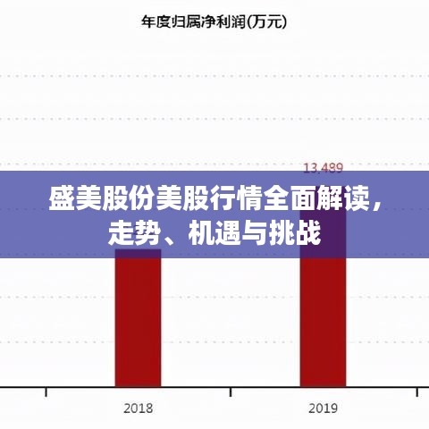 盛美股份美股行情全面解讀，走勢(shì)、機(jī)遇與挑戰(zhàn)