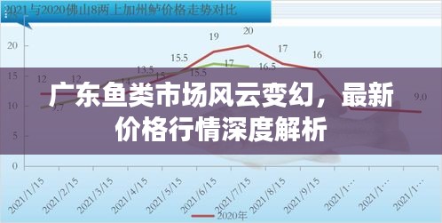 廣東魚類市場風(fēng)云變幻，最新價格行情深度解析