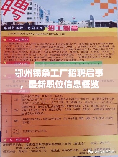 鄂州錫條工廠招聘啟事，最新職位信息概覽