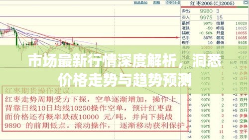 市場最新行情深度解析，洞悉價格走勢與趨勢預測