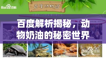 百度解析揭秘，動物奶油的秘密世界！