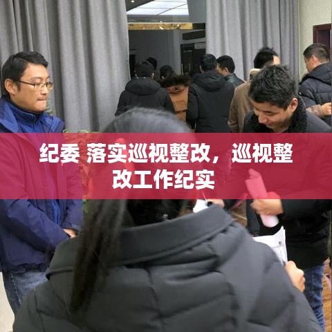 紀委 落實巡視整改，巡視整改工作紀實 