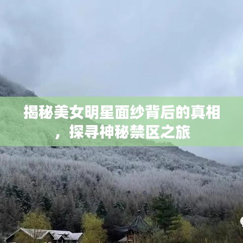 揭秘美女明星面紗背后的真相，探尋神秘禁區(qū)之旅