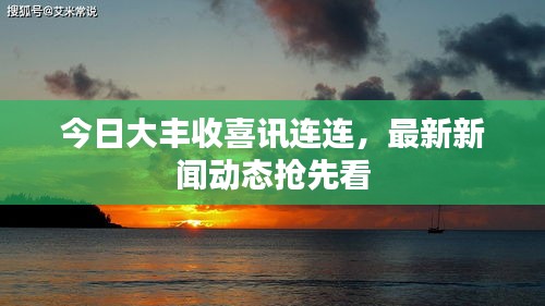 今日大豐收喜訊連連，最新新聞動(dòng)態(tài)搶先看