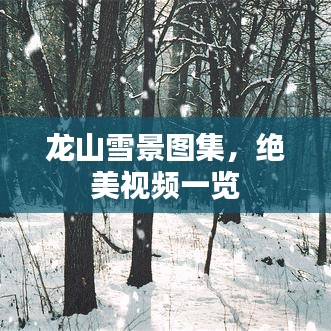 龍山雪景圖集，絕美視頻一覽