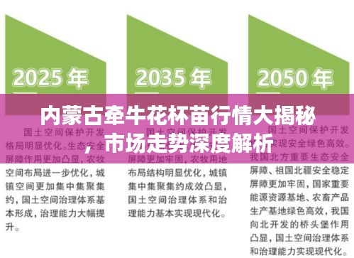 內蒙古牽牛花杯苗行情大揭秘，市場走勢深度解析