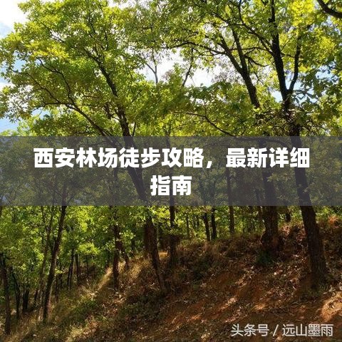 西安林場徒步攻略，最新詳細(xì)指南