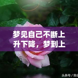 夢(mèng)見(jiàn)自己不斷上升下降，夢(mèng)到上升然后極速下落 