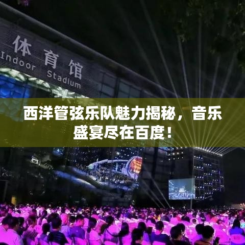 西洋管弦樂隊(duì)魅力揭秘，音樂盛宴盡在百度！