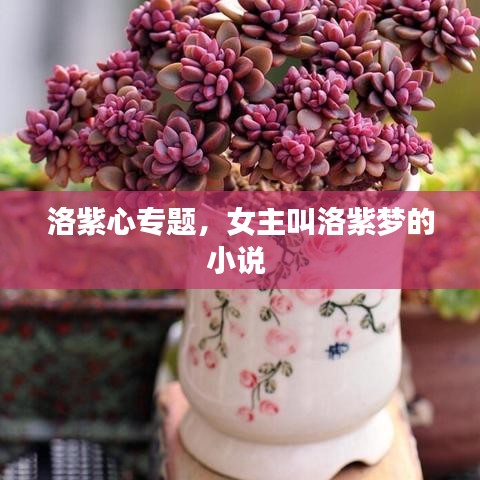 洛紫心專題，女主叫洛紫夢(mèng)的小說 