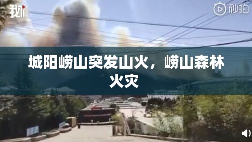 城陽(yáng)嶗山突發(fā)山火，嶗山森林火災(zāi) 