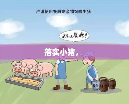 落實小豬， 