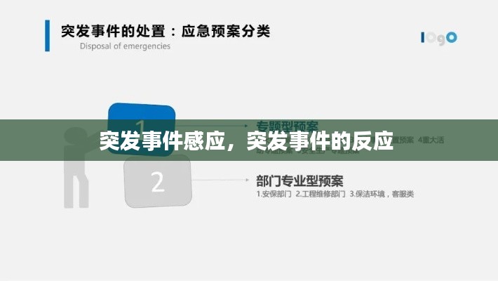 突發(fā)事件感應(yīng)，突發(fā)事件的反應(yīng) 