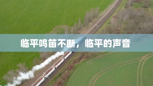 臨平鳴笛不斷，臨平的聲音 