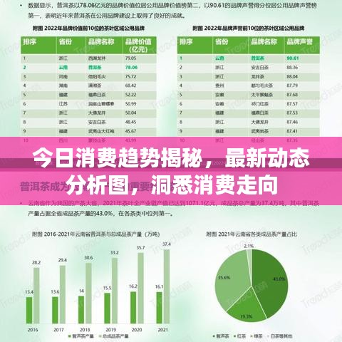 今日消費(fèi)趨勢(shì)揭秘，最新動(dòng)態(tài)分析圖，洞悉消費(fèi)走向