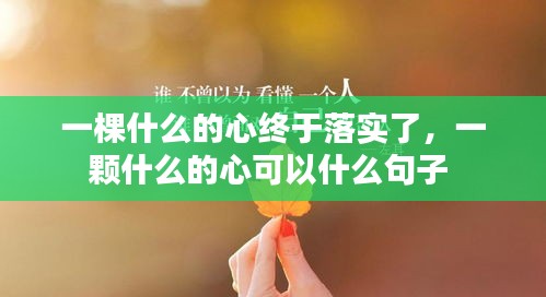 一棵什么的心終于落實(shí)了，一顆什么的心可以什么句子 