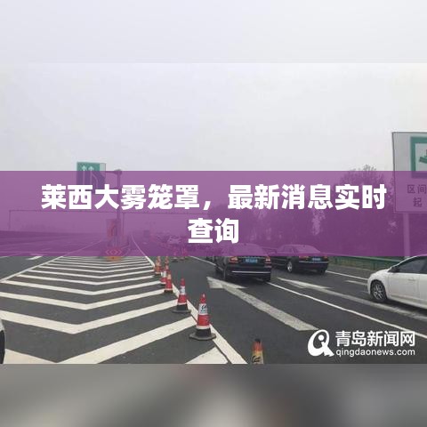 萊西大霧籠罩，最新消息實時查詢