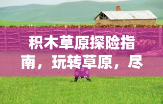 積木草原探險(xiǎn)指南，玩轉(zhuǎn)草原，盡享樂(lè)趣！