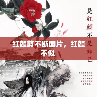 紅顏剪不斷圖片，紅顏不似 
