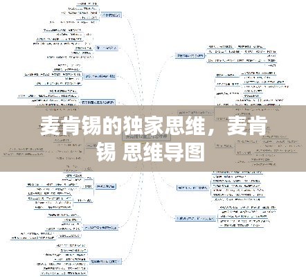 麥肯錫的獨(dú)家思維，麥肯錫 思維導(dǎo)圖 