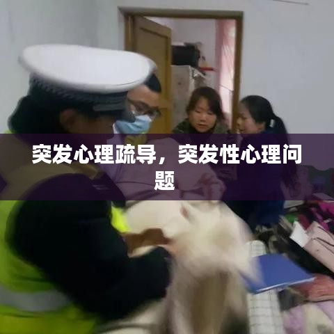 突發(fā)心理疏導(dǎo)，突發(fā)性心理問題 