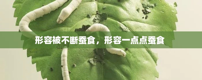 形容被不斷蠶食，形容一點(diǎn)點(diǎn)蠶食 