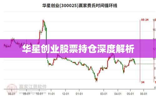 華星創(chuàng)業(yè)股票持倉深度解析