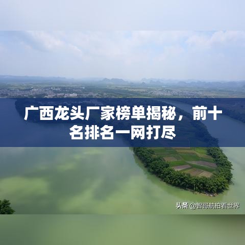 廣西龍頭廠家榜單揭秘，前十名排名一網(wǎng)打盡