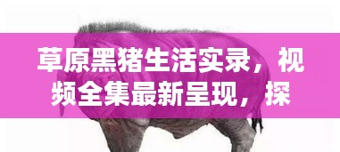 在線留言 第5頁