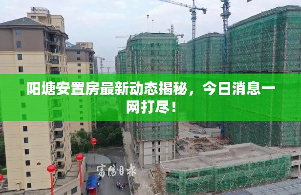 陽(yáng)塘安置房最新動(dòng)態(tài)揭秘，今日消息一網(wǎng)打盡！
