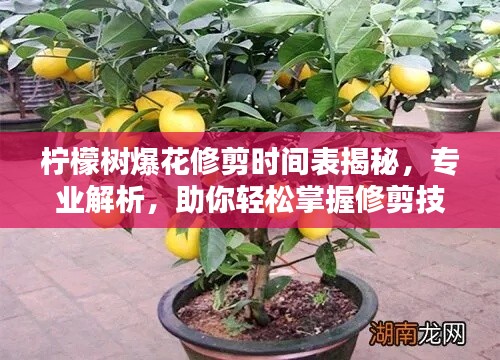 第7頁(yè)