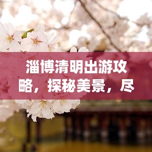 淄博清明出游攻略，探秘美景，盡享文化盛宴！