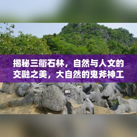 揭秘三衢石林，自然與人文的交融之美，大自然的鬼斧神工欣賞