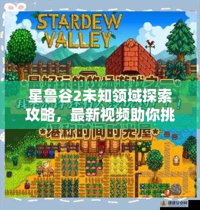 星魯谷2未知領(lǐng)域探索攻略，最新視頻助你挑戰(zhàn)極限！