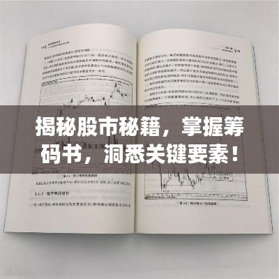 揭秘股市秘籍，掌握籌碼書，洞悉關(guān)鍵要素！