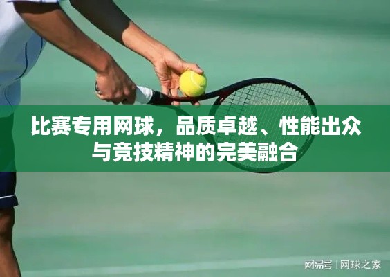 比賽專用網(wǎng)球，品質卓越、性能出眾與競技精神的完美融合