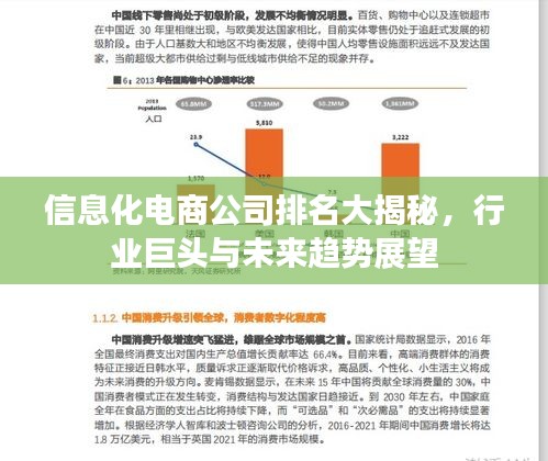 信息化電商公司排名大揭秘，行業(yè)巨頭與未來(lái)趨勢(shì)展望