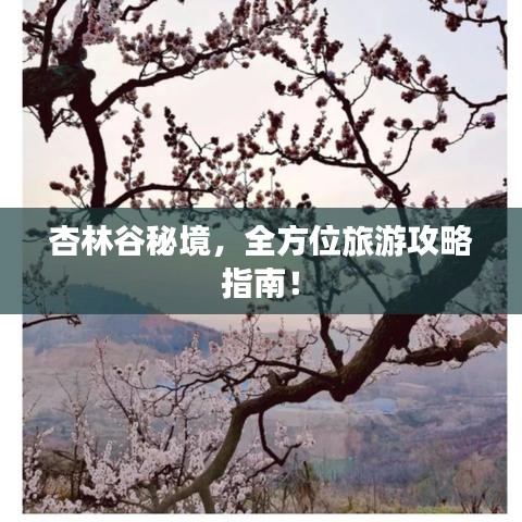 杏林谷秘境，全方位旅游攻略指南！