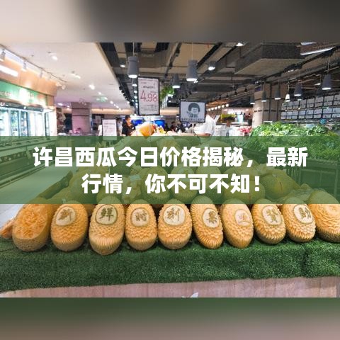 許昌西瓜今日價(jià)格揭秘，最新行情，你不可不知！