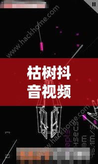 枯樹抖音視頻，探索最新版視頻世界，體驗獨特魅力
