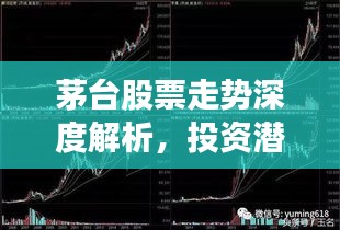 茅臺股票走勢深度解析，投資潛力與風(fēng)險洞察