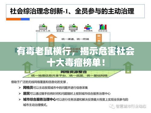 有毒老鼠橫行，揭示危害社會(huì)十大毒瘤榜單！