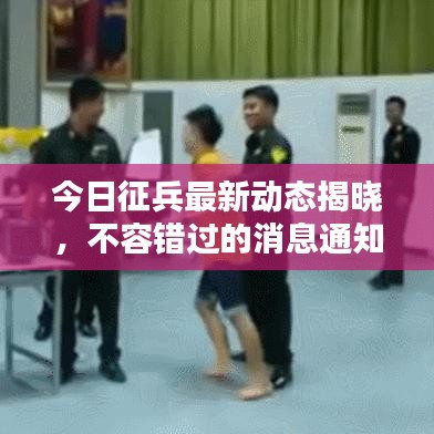 今日征兵最新動(dòng)態(tài)揭曉，不容錯(cuò)過的消息通知！