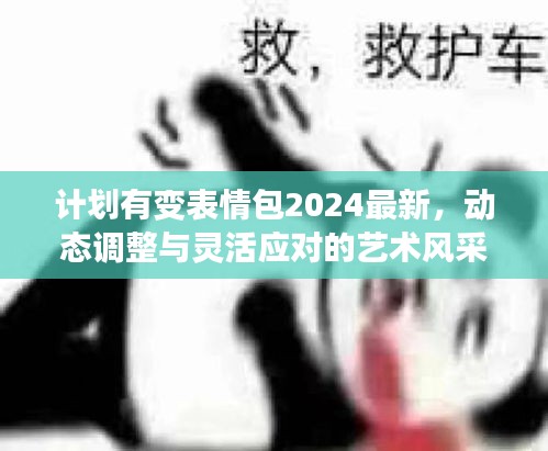 計劃有變表情包2024最新，動態(tài)調(diào)整與靈活應(yīng)對的藝術(shù)風采