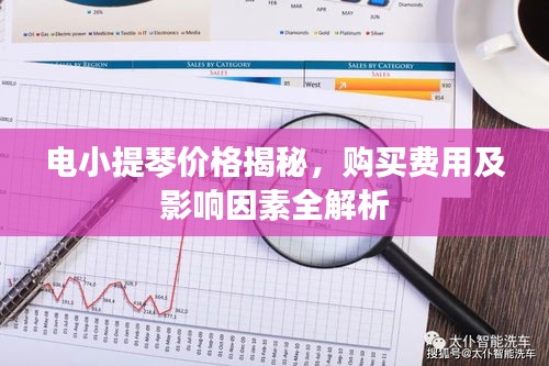 電小提琴價格揭秘，購買費用及影響因素全解析