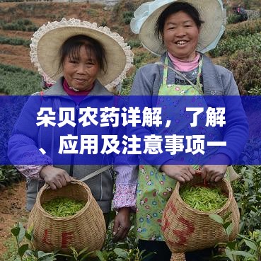朵貝農(nóng)藥詳解，了解、應(yīng)用及注意事項一網(wǎng)打盡