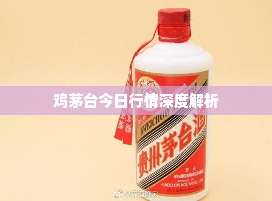 雞茅臺今日行情深度解析