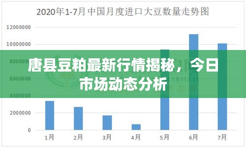 唐縣豆粕最新行情揭秘，今日市場動態(tài)分析