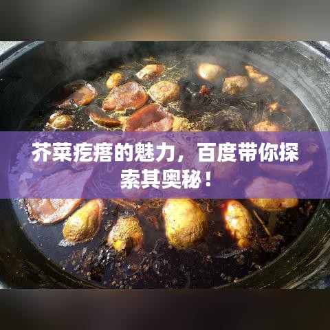 芥菜疙瘩的魅力，百度帶你探索其奧秘！