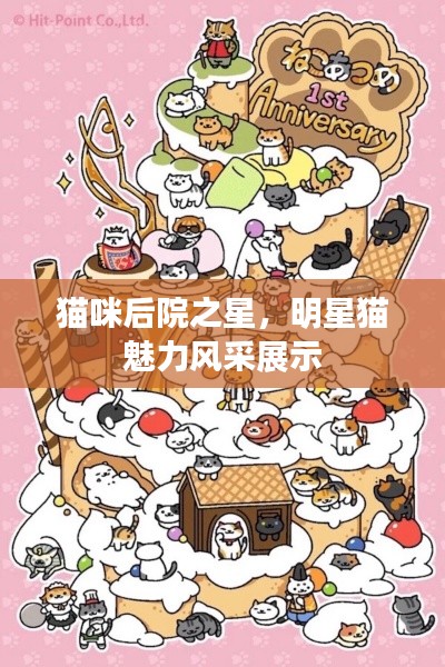 貓咪后院之星，明星貓魅力風(fēng)采展示